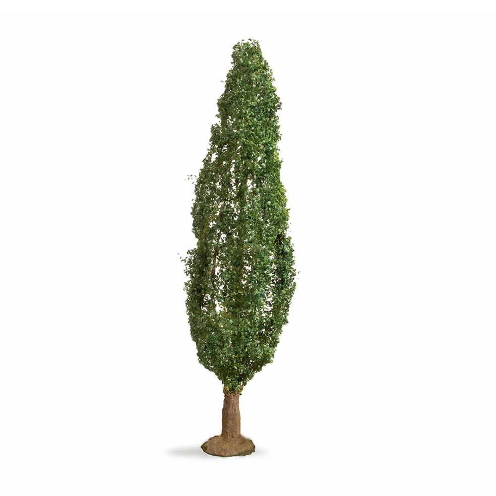 découvrez notre service de commande de peupliers, offrant une large sélection d'arbres de qualité pour vos projets de jardinage et d'aménagement paysager. profitez de conseils d'experts et d'une livraison rapide.