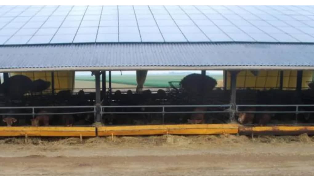 découvrez nos solutions innovantes pour la construction agricole, adaptées aux besoins des agriculteurs. bénéficiez de conseils d'experts et d'un accompagnement sur mesure pour bâtir vos infrastructures agricoles avec efficacité et durabilité.
