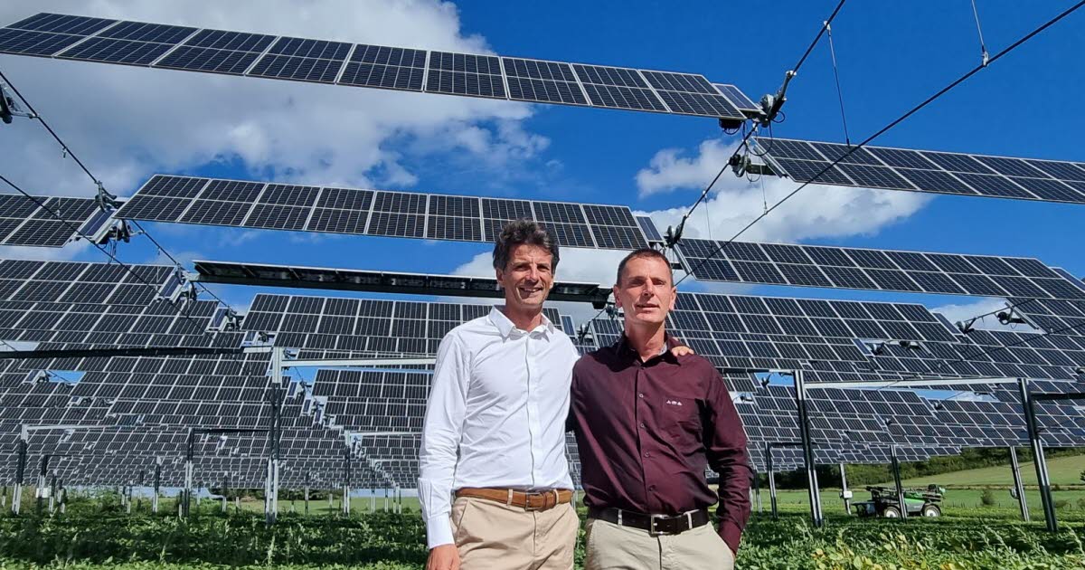 découvrez ecp ouest, votre spécialiste en solutions photovoltaïques. nous vous accompagnons dans la transition énergétique avec des installations sur mesure pour maximiser votre production d'énergie solaire. profitez d'une expertise locale et de conseils adaptés à vos besoins.