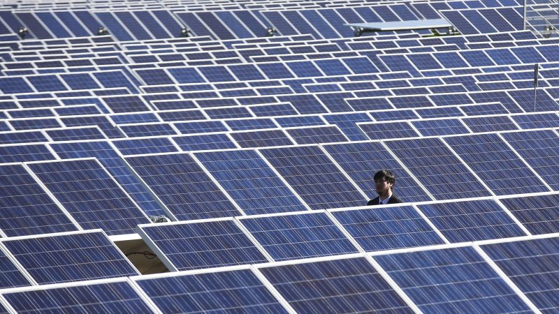 découvrez comment l'emprunt photovoltaïque peut vous aider à financer vos projets d'énergie solaire. profitez d'offres avantageuses pour investir dans des panneaux solaires et réduisez vos factures d'électricité tout en contribuant à la transition énergétique.