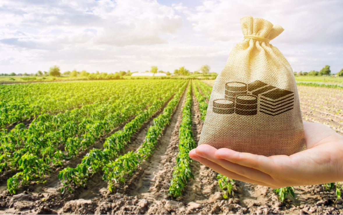 découvrez notre entrepôt agricole, un espace idéal pour stocker vos récoltes et équipements. profitez d'une infrastructure adaptée aux besoins des agriculteurs, garantissant sécurité et accessibilité. optimisez votre exploitation avec nos solutions de stockage efficaces.