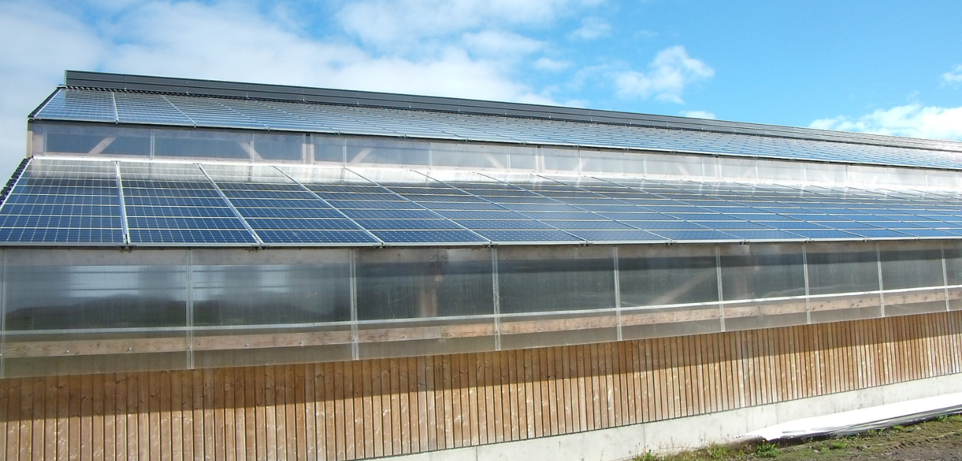 découvrez notre gamme de hangars agricoles conçus pour répondre aux besoins de stockage et de protection de vos équipements agricoles. robustesse, flexibilité et surfaces adaptées pour optimiser votre exploitation.