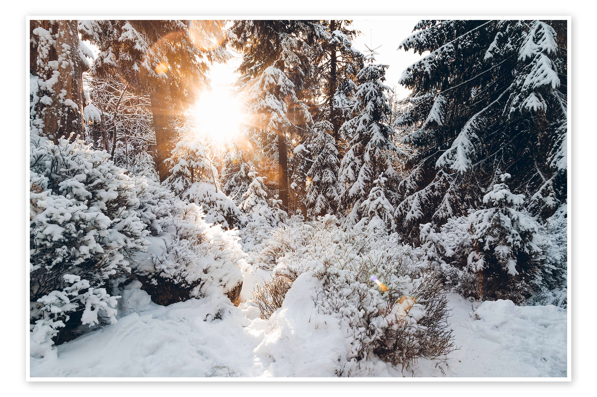 découvrez la magie de l'hiver sous le soleil ! profitez de paysages enneigés baignés par la lumière dorée, des activités de plein air revigorantes et des moments de chaleur partagés. cet hiver, laissez-vous charmer par la beauté et la sérénité d'une saison éclatante.
