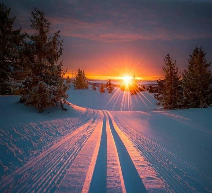 découvrez la magie de l'hiver sous le soleil ! profitez des paysages enneigés illuminés par des rayons chaleureux, des activités en plein air et des moments de détente au coin du feu. l'hiver n'a jamais été aussi radieux !