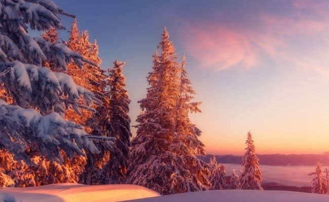 découvrez les joies de l'hiver sous le soleil, où la magie des paysages enneigés se mêle à des journées ensoleillées. profitez d'activités de plein air, de moments de détente au coin du feu et de la beauté éclatante de la nature hivernale.