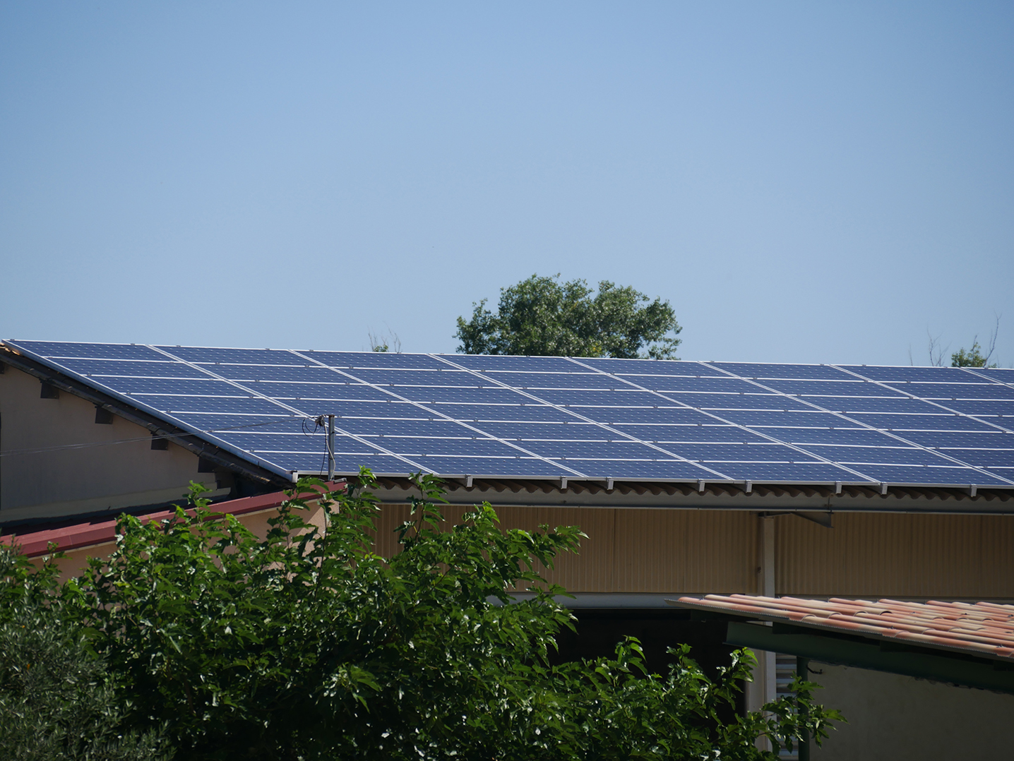 découvrez les avantages des panneaux solaires agricoles, une solution durable et économique pour optimiser votre production tout en réduisant votre empreinte carbone. transformez vos exploitations avec cette technologie innovante et respectueuse de l'environnement.