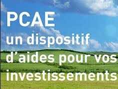 découvrez le pcae 2025, un plan stratégique innovant visant à améliorer la performance écologique et économique des entreprises. restez à la pointe des tendances et des meilleures pratiques pour un avenir durable.