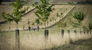 découvrez le pcae normandie, un programme innovant dédié à l'agriculture durable et à la gestion des ressources en normandie. rejoignez-nous pour soutenir les pratiques agricoles respectueuses de l'environnement et favoriser le développement rural.