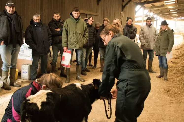 découvrez le pcae normandie, un programme dédié à la préservation et à la valorisation des ressources naturelles en normandie. engagez-vous pour un développement durable à travers des initiatives innovantes et des projets locaux.