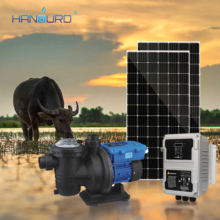 découvrez les avantages d'une pompe solaire pour votre piscine : économique, écologique et facile à installer. profitez d'une eau propre et rafraîchissante tout en réduisant votre empreinte carbone grâce à l'énergie solaire.