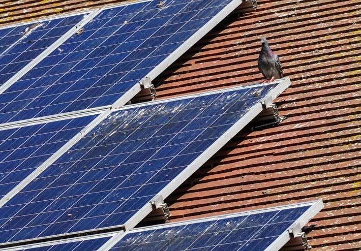 découvrez comment protéger efficacement vos panneaux solaires des intempéries et des débris. nos conseils vous aideront à maximiser leur durée de vie et leur performance, tout en assurant une entretien facile et rapide.