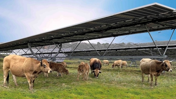 découvrez les dernières réformes photovoltaïques dans le lot-et-garonne, visant à promouvoir l'énergie solaire et à soutenir les projets écologiques locaux. informez-vous sur les aides disponibles, les opportunités d'investissement et les impacts bénéfiques sur l'environnement.
