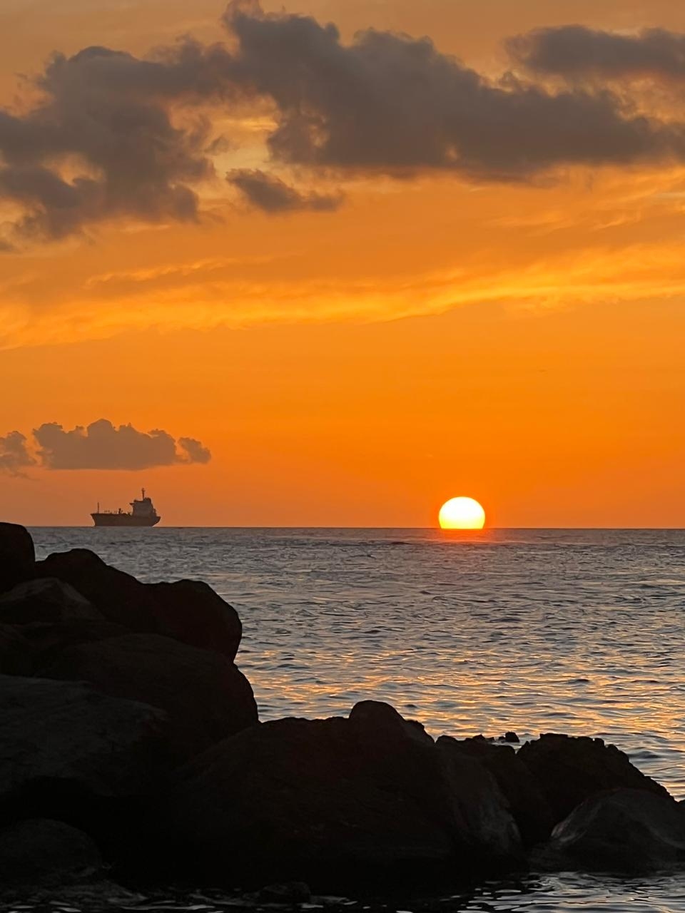 découvrez l'importance du soleil dans notre vie quotidienne, ses bienfaits pour la santé, son rôle dans l'écosystème et ses effets sur notre climat. apprenez à tirer parti de la lumière du soleil tout en préservant notre environnement.