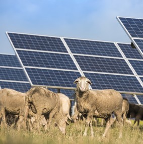 découvrez notre ferme photovoltaïque, un projet innovant dédié à la production d'énergie renouvelable. contribuez à la transition énergétique tout en profitant d'une énergie propre et durable. explorez les avantages environnementaux et économiques de notre installation solaire.