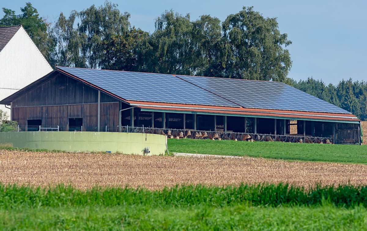 découvrez tout sur le pv agricole, un outil essentiel pour optimiser la gestion des exploitations agricoles. apprenez comment cet outil permet d'améliorer la rentabilité, d'assurer la transparence des transactions et de faciliter les prises de décision éclairées dans le secteur agricole.